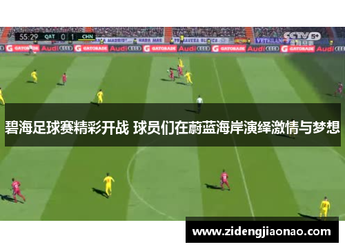 碧海足球赛精彩开战 球员们在蔚蓝海岸演绎激情与梦想