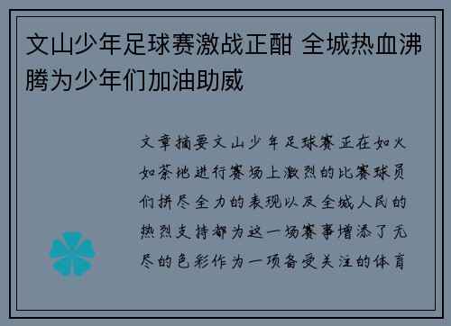 文山少年足球赛激战正酣 全城热血沸腾为少年们加油助威